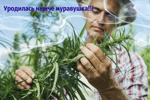 Ссылка на кракен тор магазин