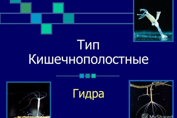 Кракен 17 at вход