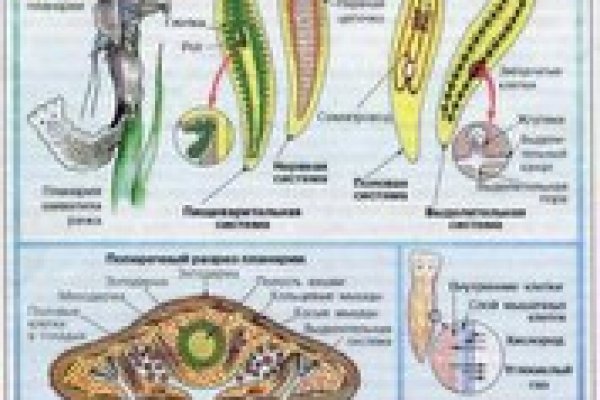 Кракен пользователь не найден